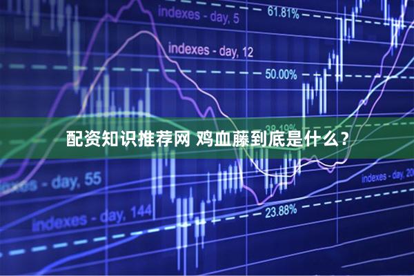 配资知识推荐网 鸡血藤到底是什么？