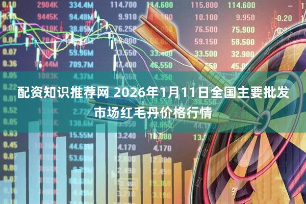 配资知识推荐网 2026年1月11日全国主要批发市场红毛丹价格行情
